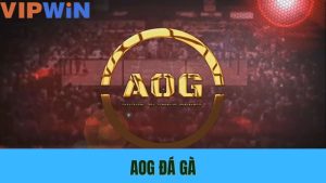 AOG Đá Gà – Sân Chơi Chọi Kê Đỉnh Cao Trên Vip Win